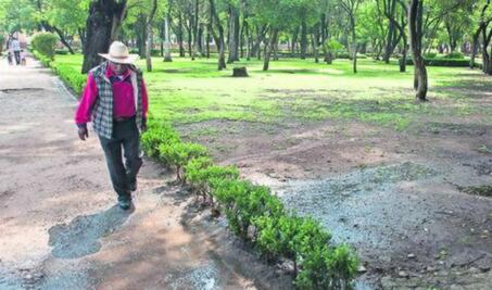 Agresor de ardilla tendrá que pagar $20 mil