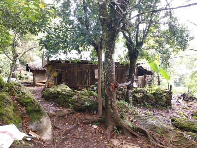 Fotos: Claudia Ivonne Hernández Torres