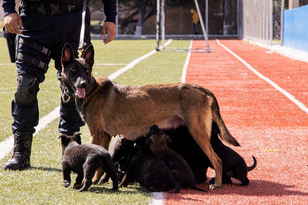 Foto: Demian Chávez