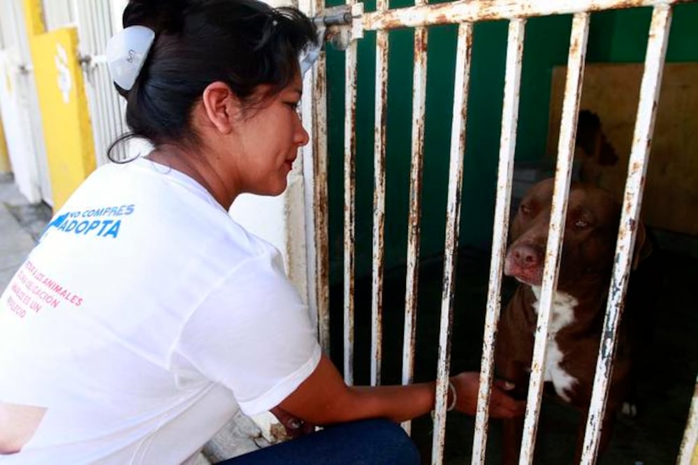 Foto: Archivo, El Universal