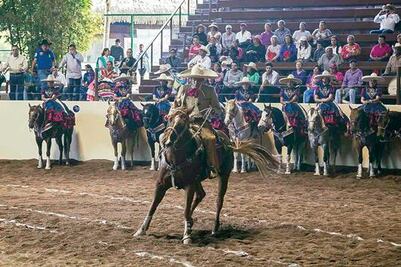 Confían en nivel de participantes
