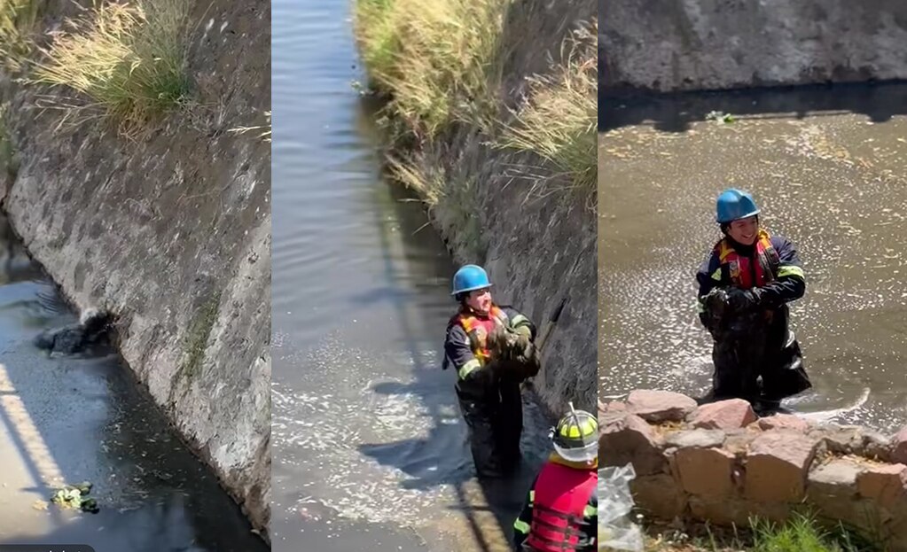 Rescatan a perrito atrapado en el Río Querétaro