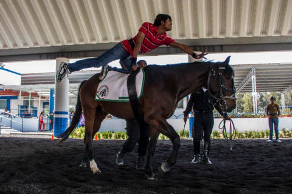 Terapeutas de alto galope