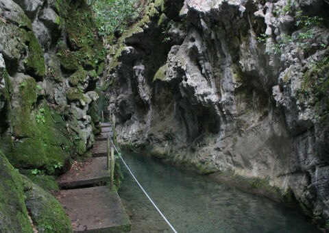 500 extranjeros visitan el Río Escanela