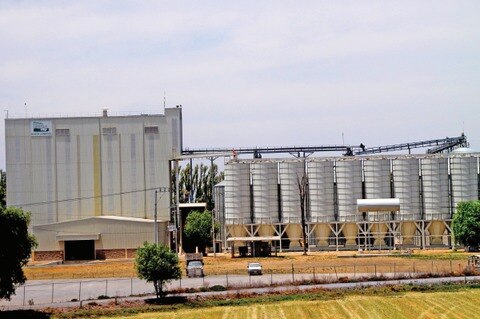 Darán 50 mdd a Corregidora