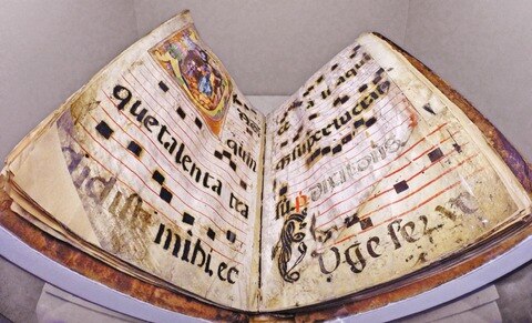 Restauran y dan nueva vida a los libros