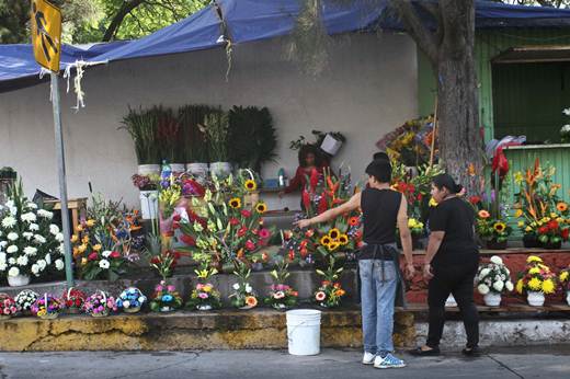 Agoniza cultivo de cempasúchil en SJR