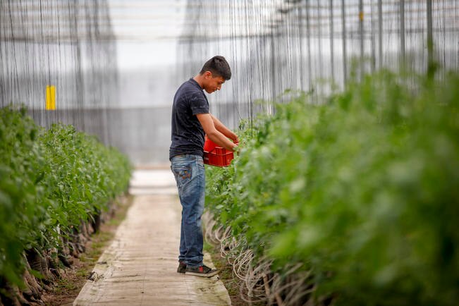 Trabajadores perciben un sueldo de 750 y mil 100 pesos semanales, principal causa de desinterés de los habitantes.