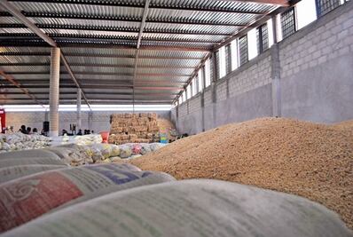 Ven aumento de 10% en sector agrícola