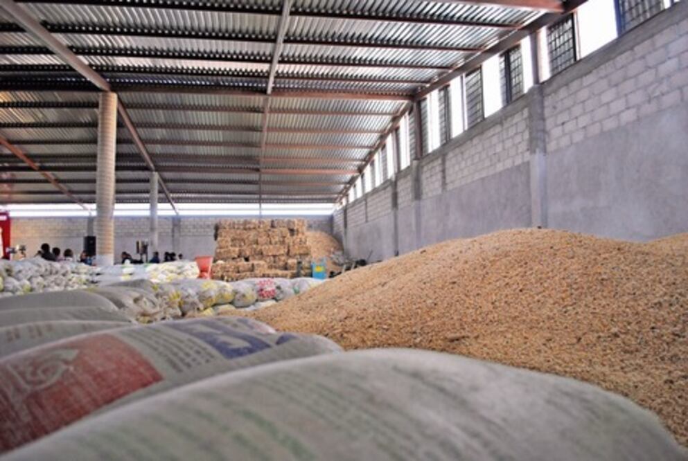 Ven aumento de 10% en sector agrícola