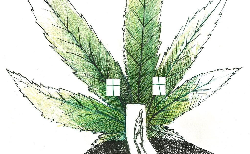 Consiguen marihuana en casa del centro de SJR