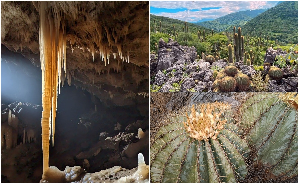 Foto: Facebook Maravillas de la Sierra Gorda