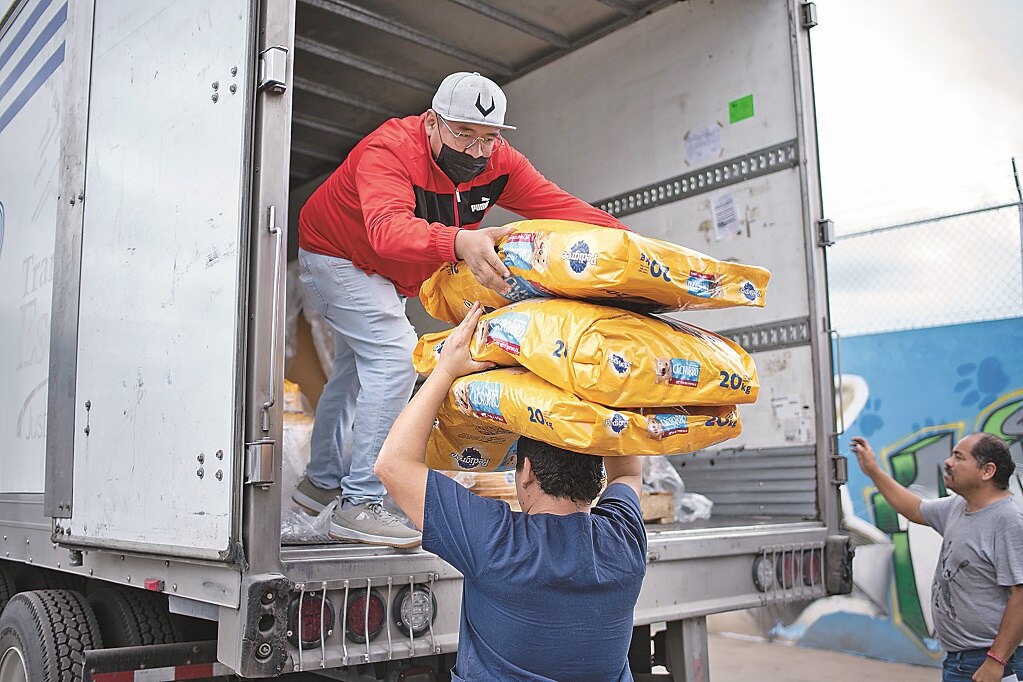 Donan alimento para perritos y gatos rescatados en Querétaro 