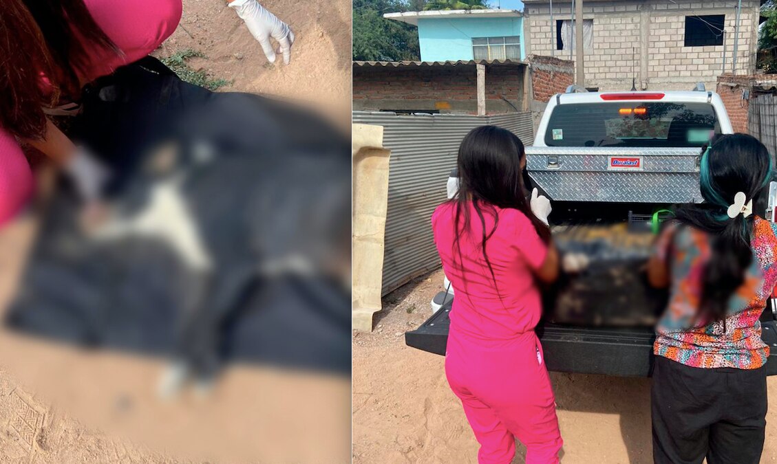 Sujeto le quita la vida a un perrito en Querétaro