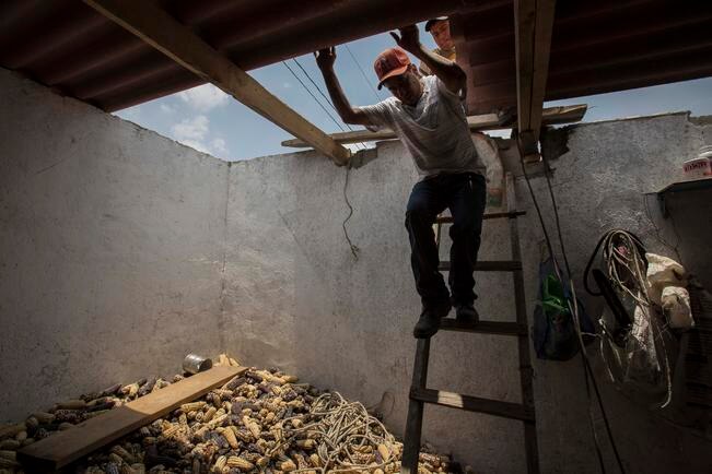 La Sagarpa cuenta con programas de ayuda que incluyen la reparación de pérdidas por el grano que ya se tiene almacenado (DEMIAN CHÁVEZ/ EL UNIVERSAL)