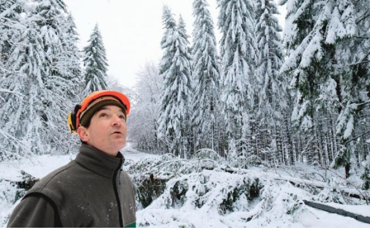 Mueren 5 en Europa a causa de nevadas
