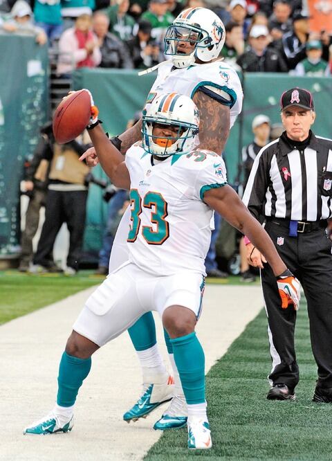 Delfines gana, pero se lesiona Tannehill