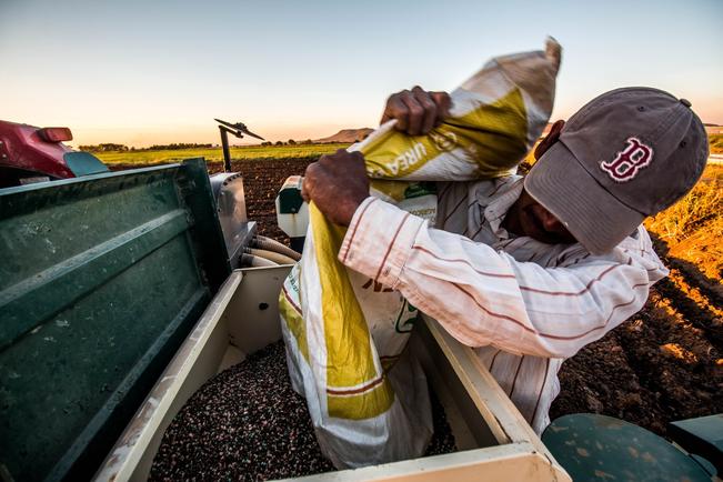 Arranca en el estado programa federal Precios de Garantía