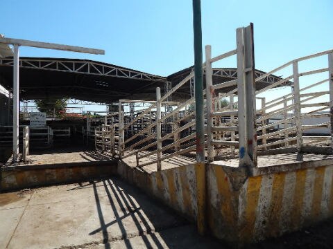 Nuevo rastro en SJR tendrá que esperar