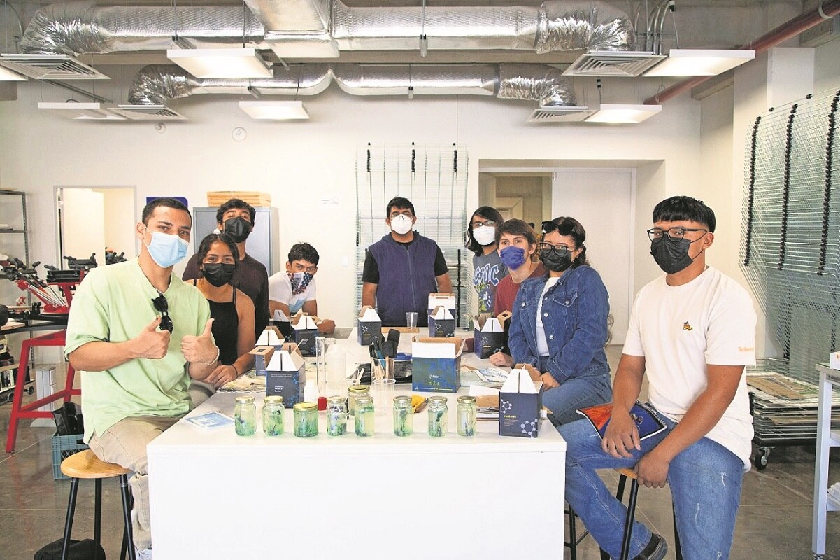 Experimentan con un Jardín químico