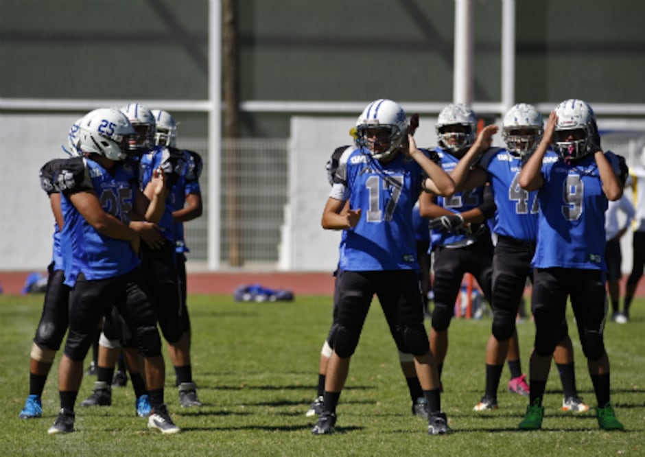 Agridulce victoria de Gatos Salvajes