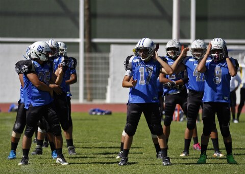 Agridulce victoria de Gatos Salvajes