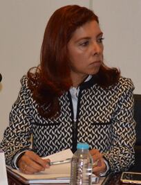 Prevén consolidar plataformas para 2018