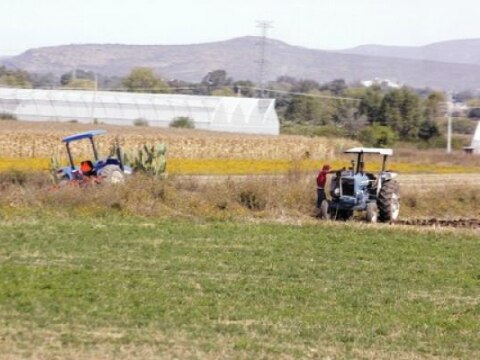 Estrategias para el campo