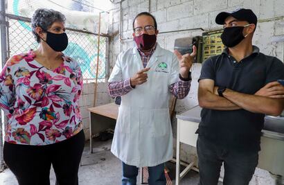 Avanza vacuna queretana contra el Covid-19; generó anticuerpos