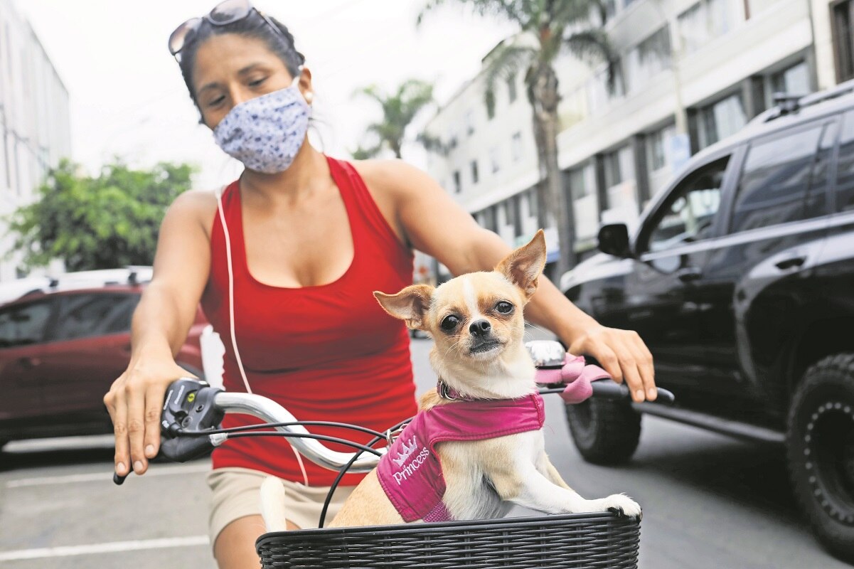 Perrhijos, entre las causas principales de conflictos entre vecinos de Querétaro