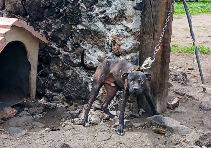 Foto: Facebook IMPA El Marqués