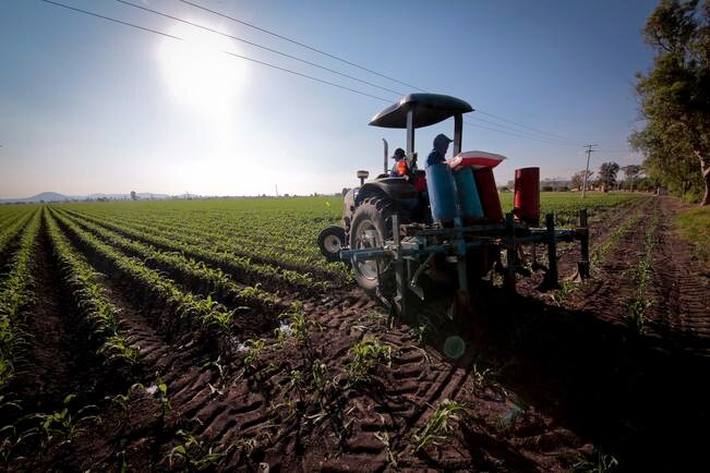 "No hay reducción a programas para el campo": Gilberto Herrera