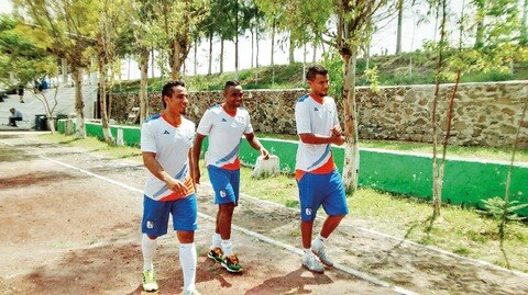 Vuelven a la cancha los emplumados 