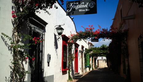 4 mil pesos, el presupuesto para visitar los viñedos un fin de semana 