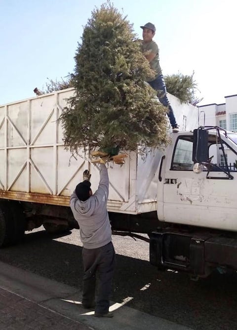 Foto: Archivo. El Universal