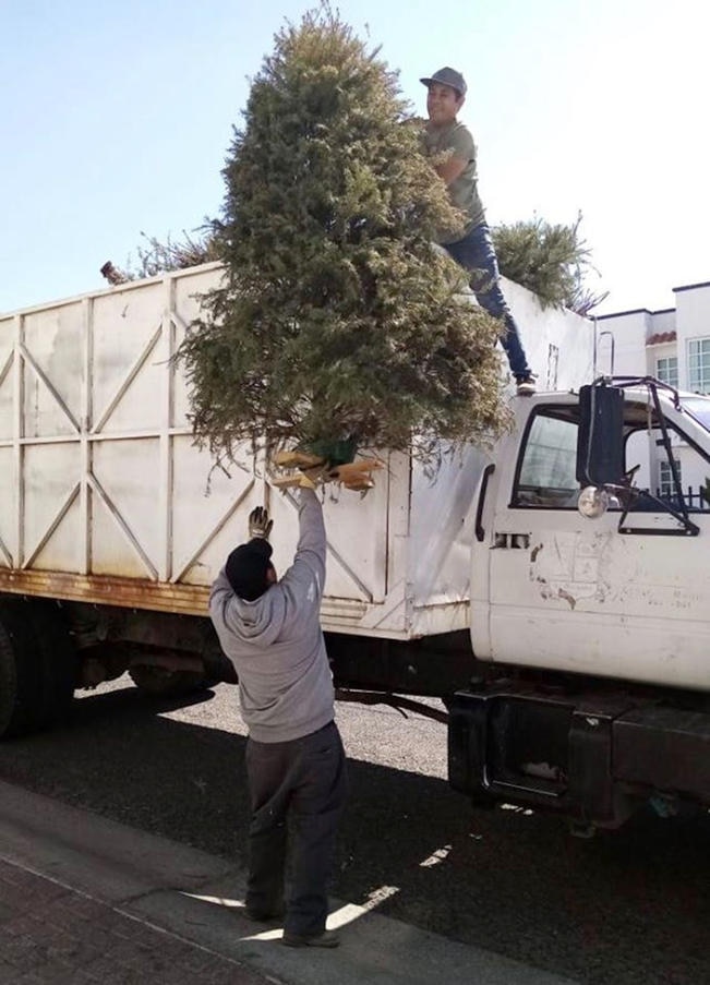 Foto: Archivo. El Universal