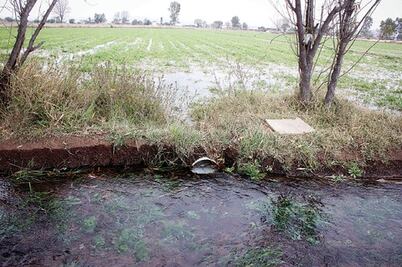 Pierde SJR 1 mdp por toma ilegal de agua