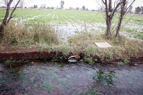 Pierde SJR 1 mdp por toma ilegal de agua