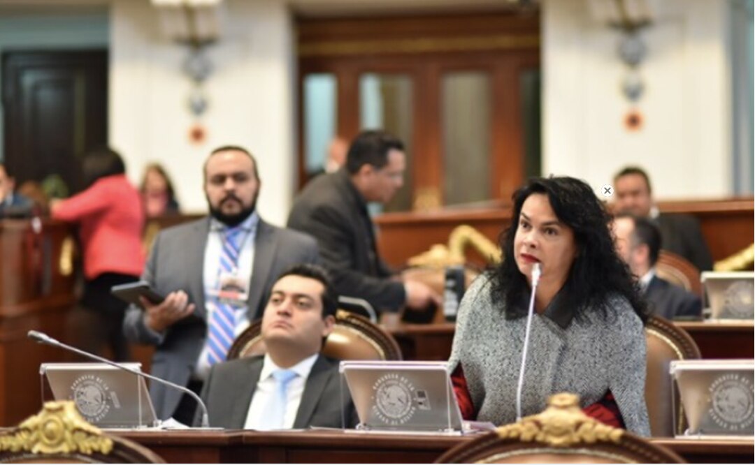 Diputada del PAN propone que desempleados por Covid-19 conserven IMSS ocho semanas más