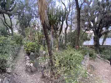 Vivero cumple 100 años; rica herencia de los Schmoll