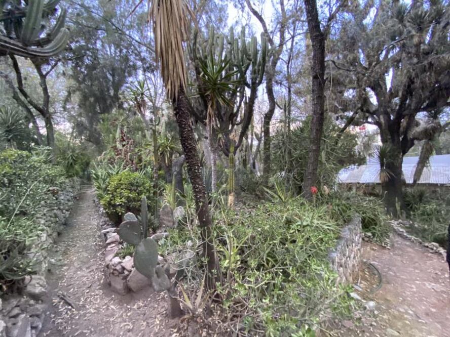 Foto: Demian Chávez