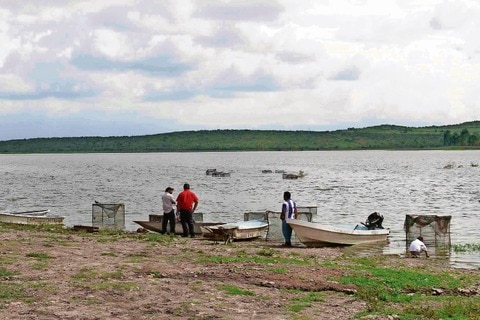 Desfogan 9 presas por estar a 100%