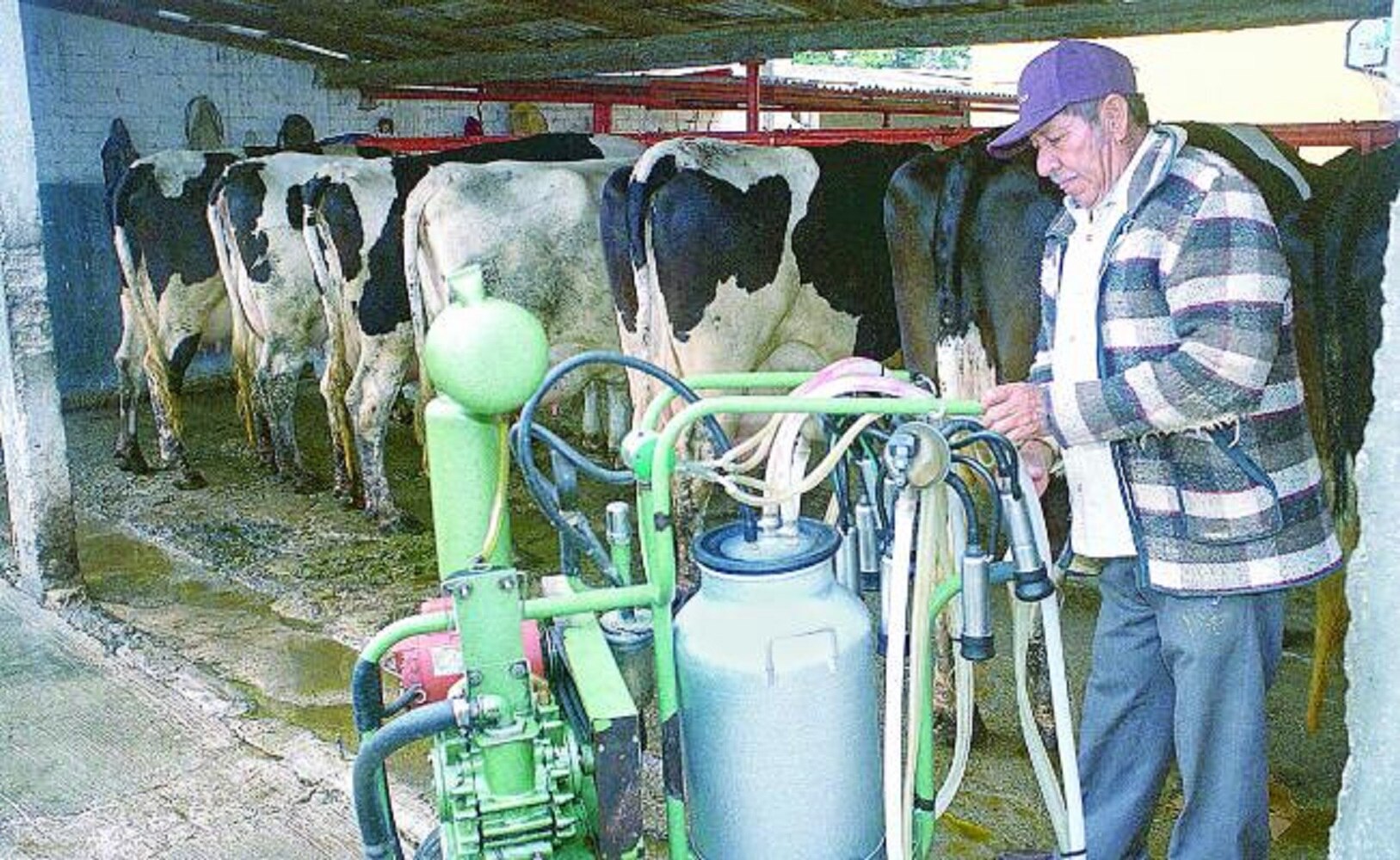 Lecheros se mantienen firmes por integrarse al TLCAN