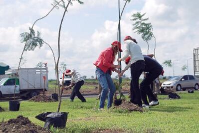 Van por 18 mdp del impuesto a los autos para bolsa ambiental