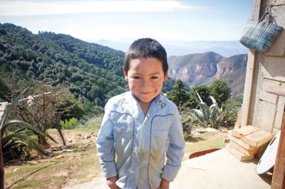 Casi 3 mil tarjetas de apoyo de SinHambre