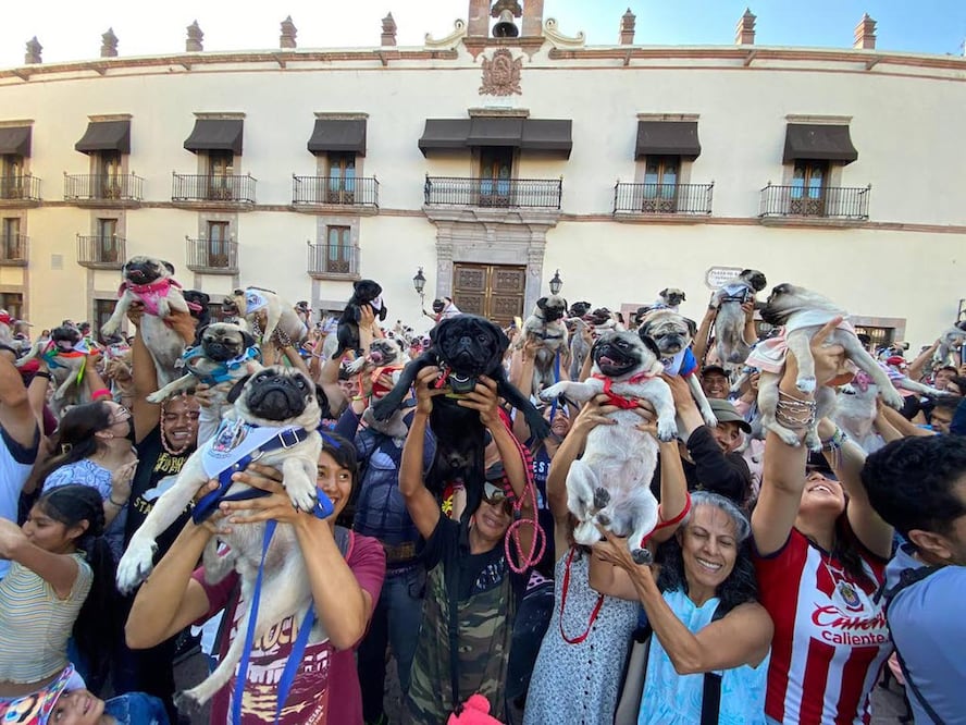 Foto: Demian Chávez