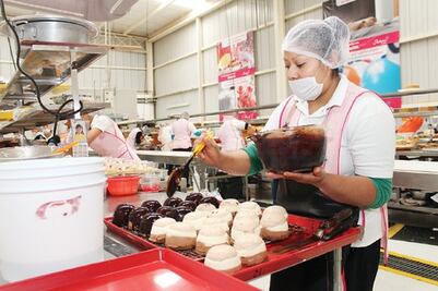 DIF planea expandir el proyecto Mäka