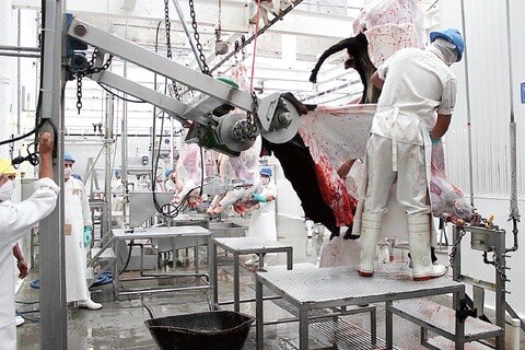 Reabrirá tras clausura rastro de Corregidora