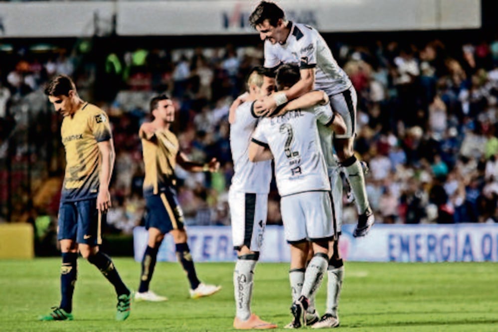 Último picotazo en casa