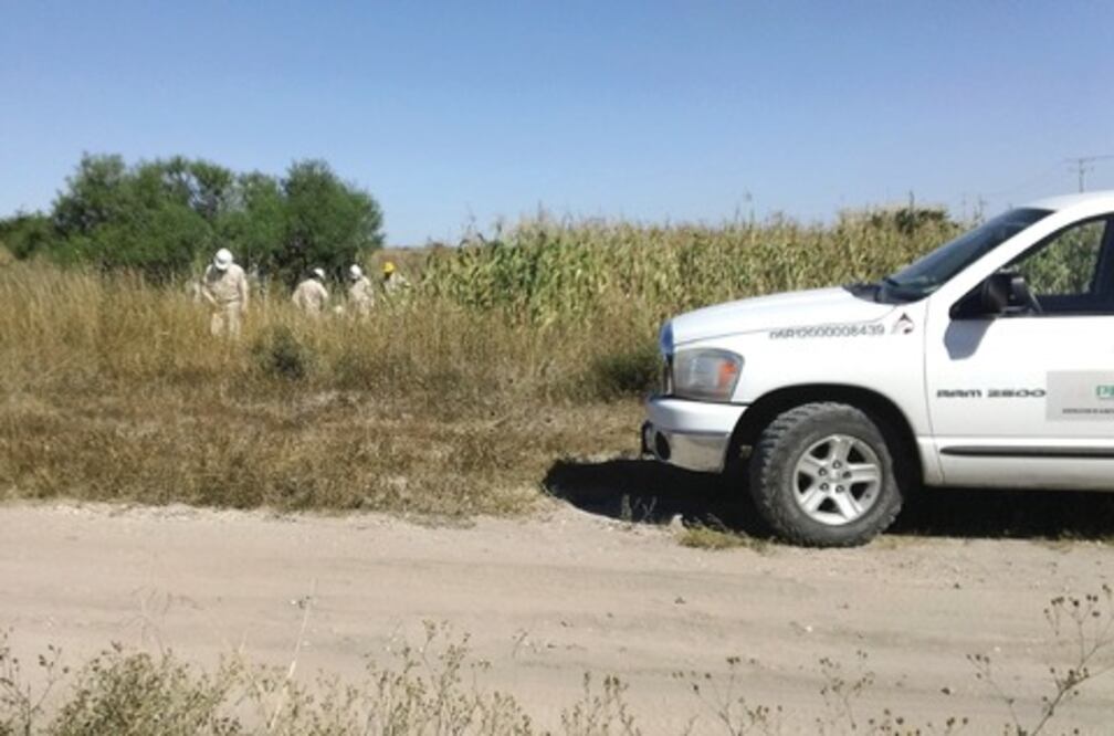 Detienen en Corregidora a presunto “ordeñador”